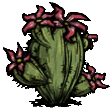 oasis_cactusflower.gif.29eb55be99a230f7f