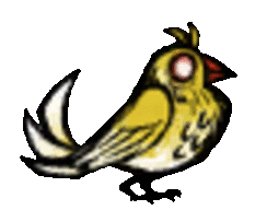 canary.gif.645c88271d961f01da79a9e8af23b